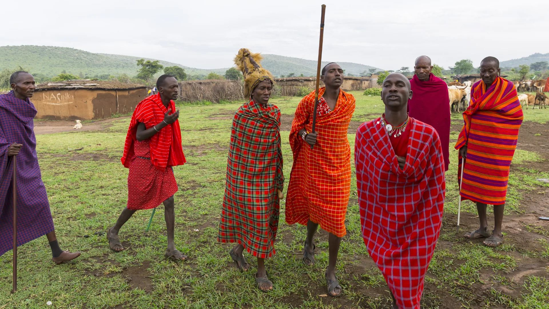 Kilimanjaro Forest Day Experience — One accessible day for travellers who want to meet the mountain without attempting the summit.