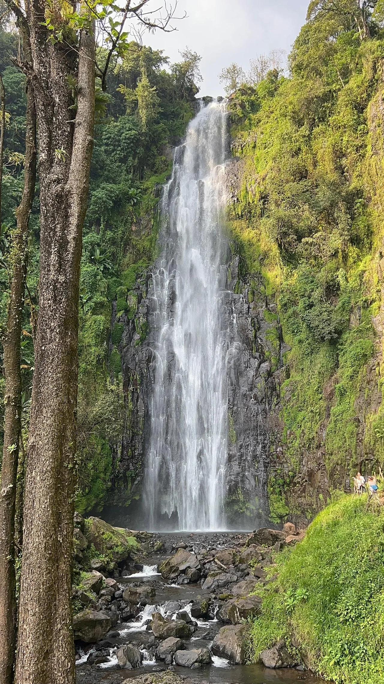 Materuni Waterfall & Msuni Coffee & Culture — Full Day — Waterfalls, coffee farms and Chagga culture, combined into one rewarding Kilimanjaro-region day.