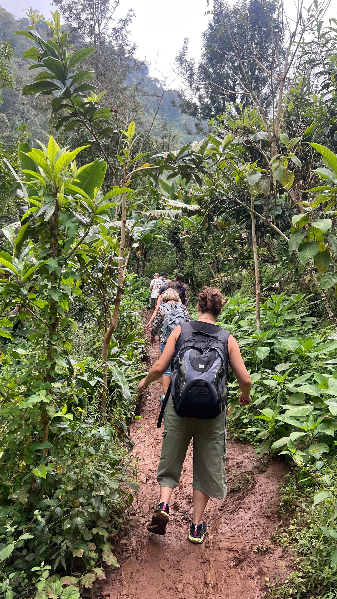 Walking through village farmland on the way to Materuni Waterfall