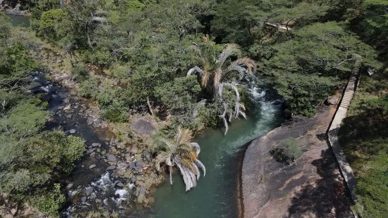 Aerial view of a river bend lined with palms at Mpanga-Kipengere