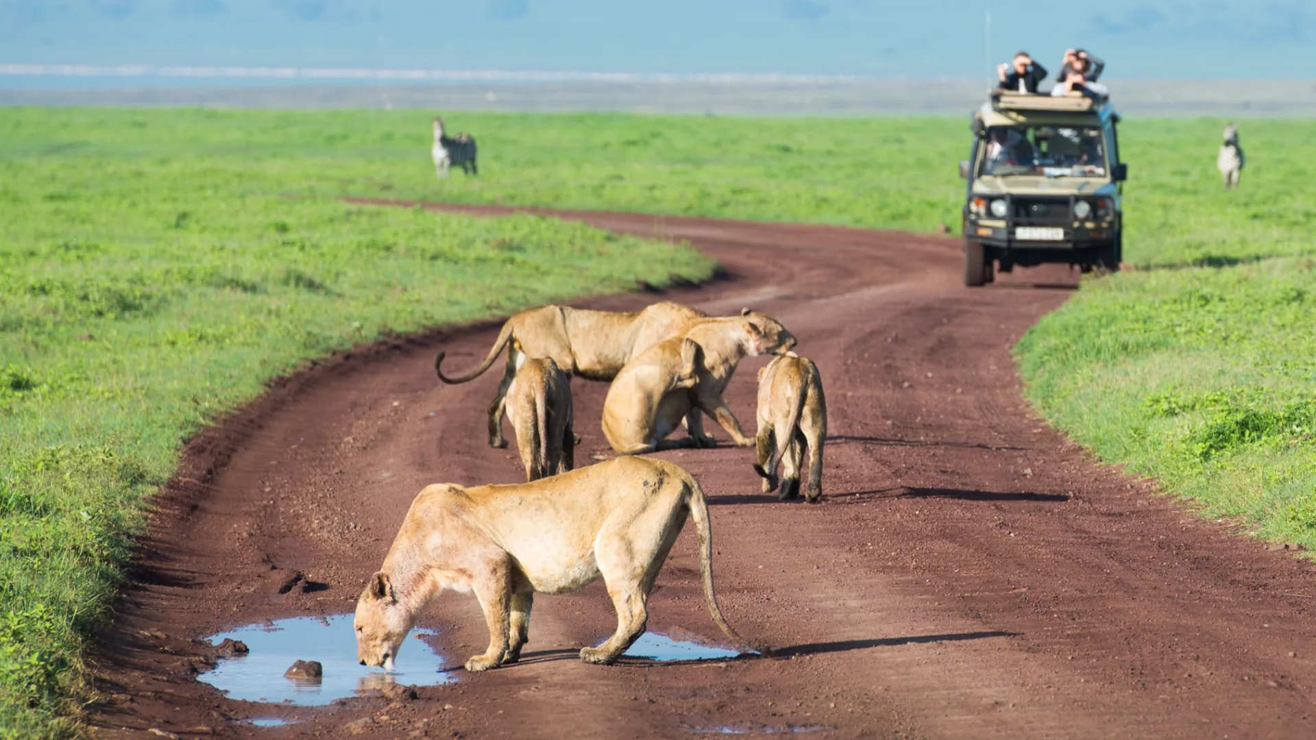 Wildlife & photography