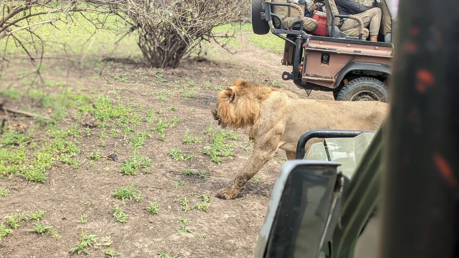 Nyerere National Park, Tanzania
