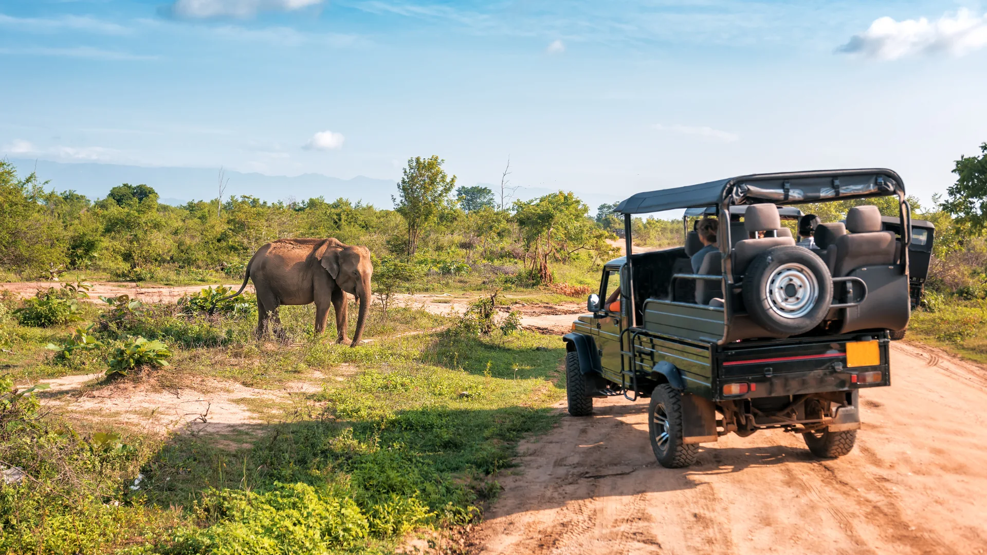 Urithi Tours — Safaris, air ticketing, car rental and accommodation