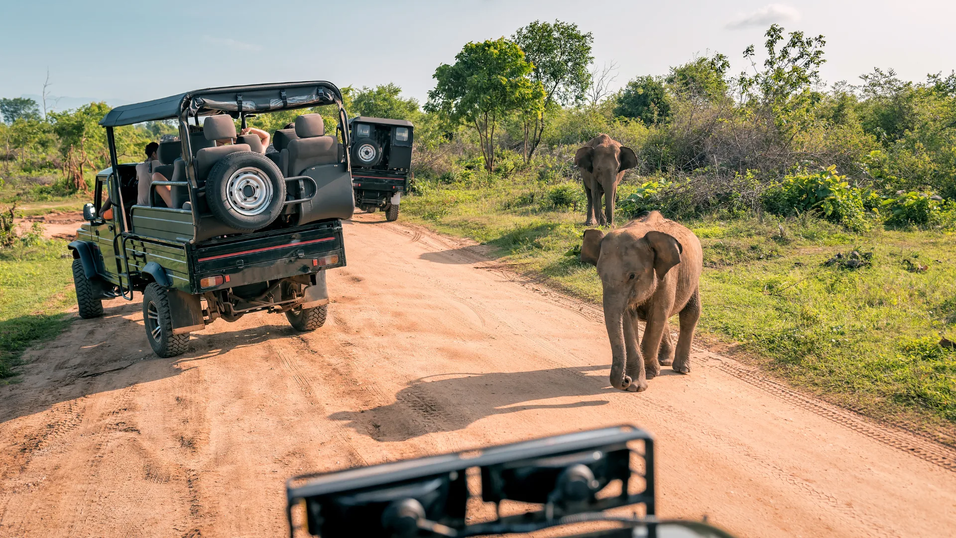 Travel together