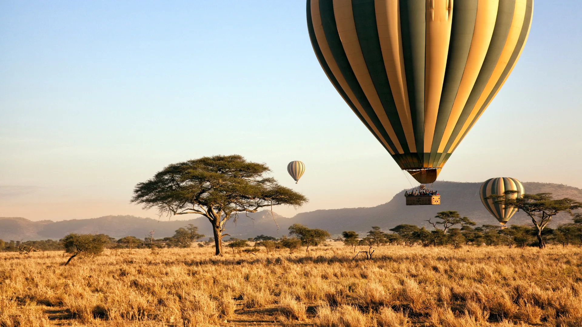 Hot-air balloons above the Serengeti plains at sunrise — Tanzania's heritage of landscape and opportunity