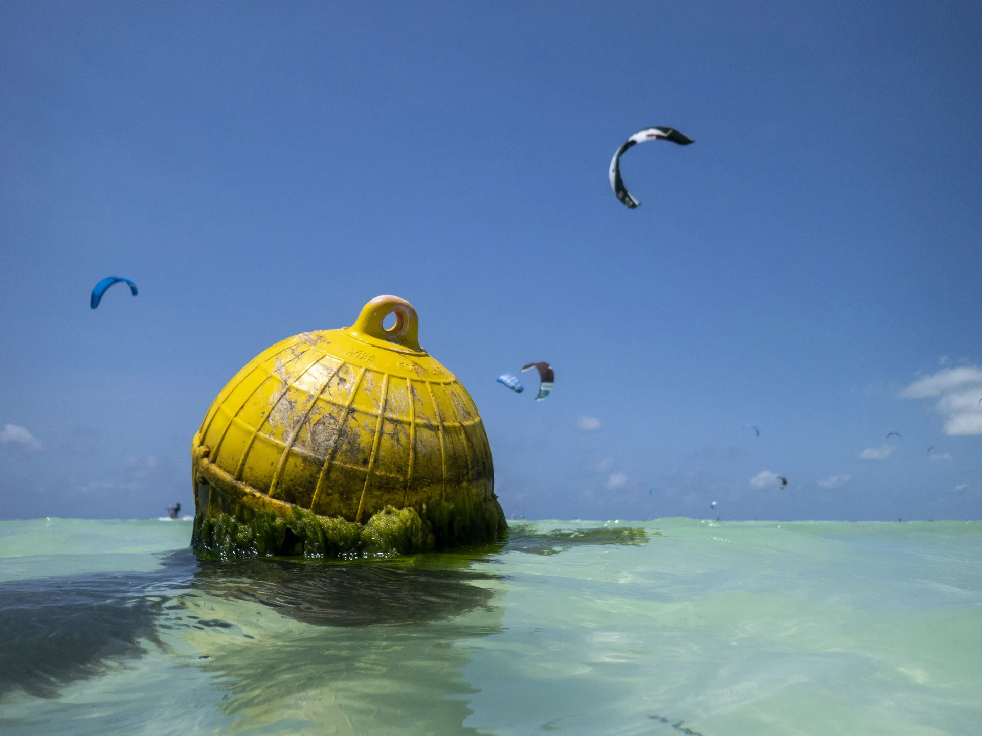Stone Town & Paje Active Coast — A Paje-first holiday that respects tide, wind, skill and the traveller's pace.