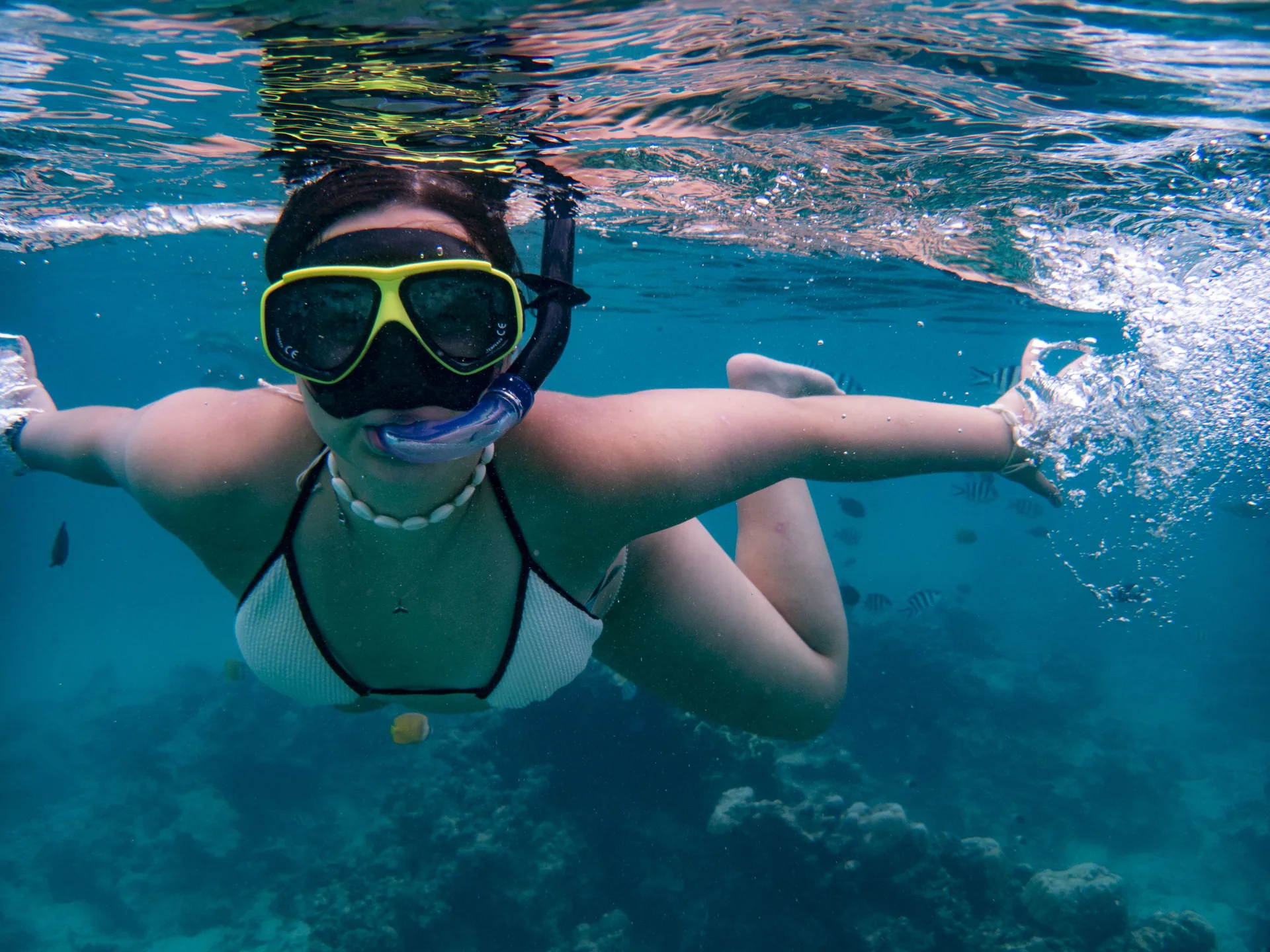 A snorkeller exploring the reef in Zanzibar's turquoise shallows