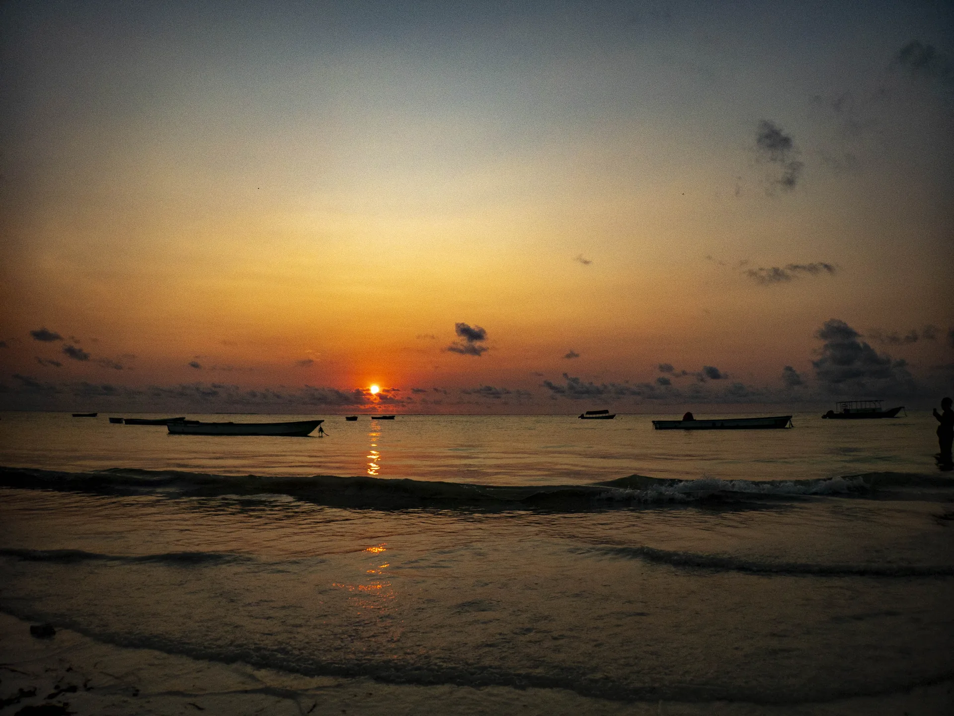 Serengeti & Zanzibar Fly-In Journey — Nine days connecting big-cat country, living Swahili heritage and time beside the Indian Ocean.
